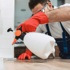 Los Angeles pest control companies: How to compare options?